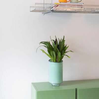 Vase 15xH26cm pistachio green Milo